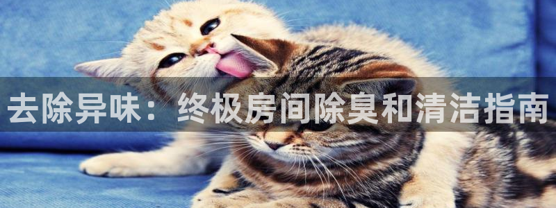 尊龙人生就是博手机版下载