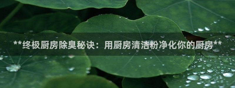 尊龙 下载