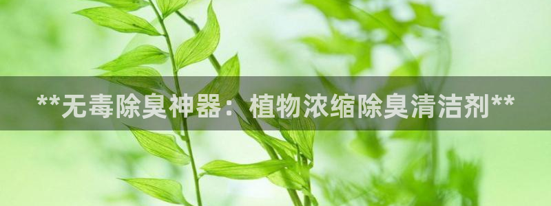 尊龙凯时有假么