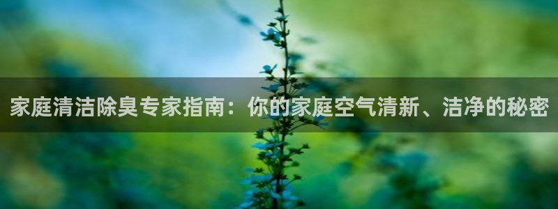 尊龙体育正规么