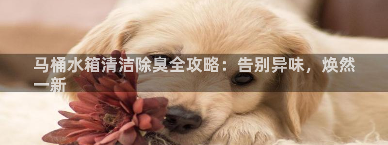 凯时K8国际