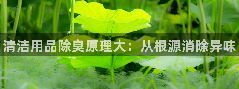 尊龙人生就是博D88