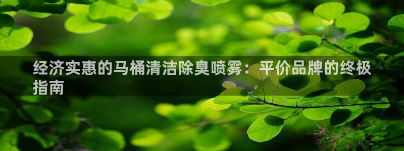 凯时登录界面：经济实惠的马桶清洁除臭喷雾：平价品牌的终极