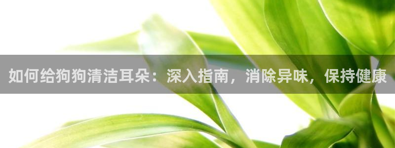 ZL尊龙凯时集团