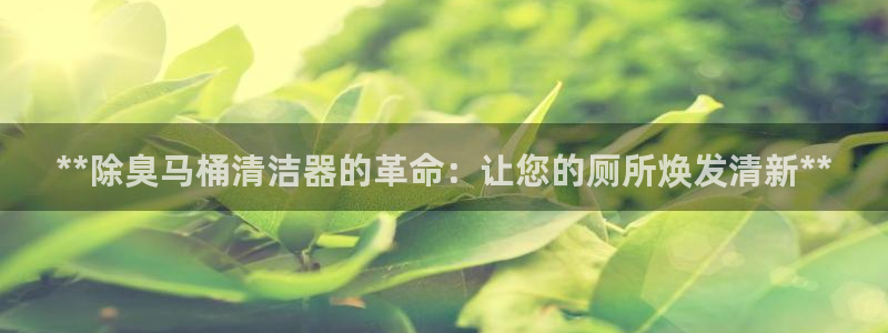 z6尊龙z6