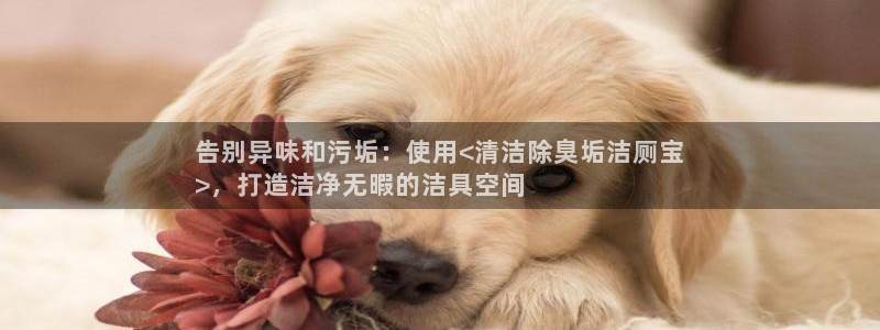 尊龙新版app首页