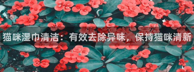 尊龙凯时的最新消息