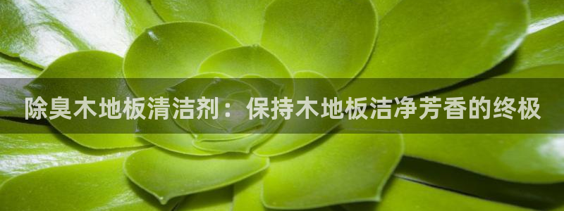尊龙凯时是不是合法