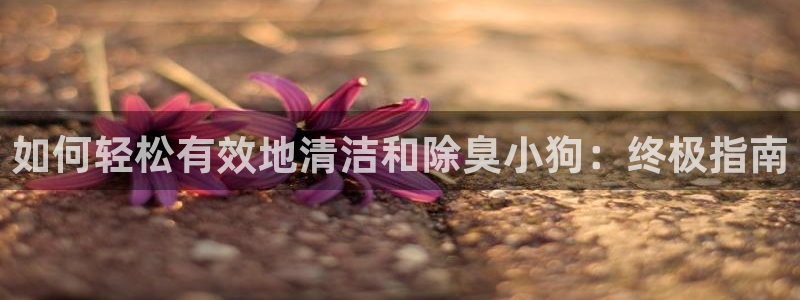 尊龙用现金一下可靠送38元