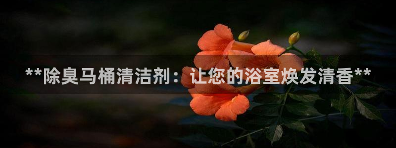 尊龙体育电竞官网：**除臭马桶清洁剂：让您的浴室焕发清香