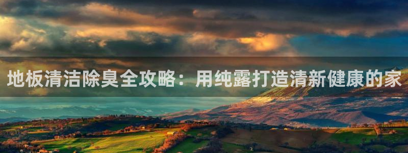 尊龙 贴吧：地板清洁除臭全攻略：用纯露打造清新健康的家