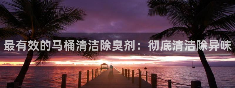 尊龙凯时平台还是万博好：最有效的马桶清洁除臭剂：彻底清洁