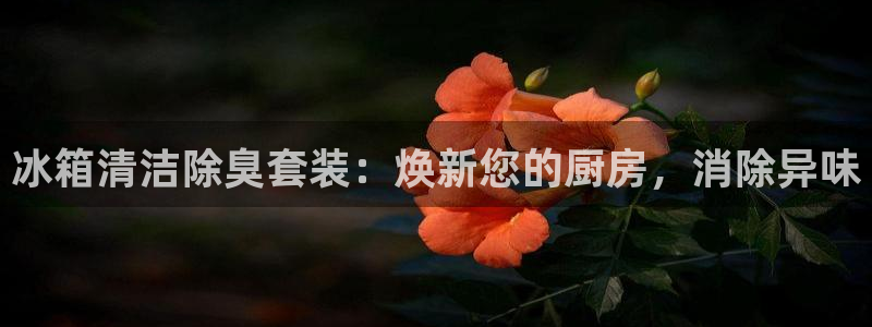 尊龙凯时登录：冰箱清洁除臭套装：焕新您的厨房，消除异味