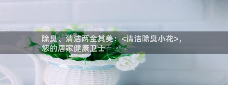 kb88凯时唯一官网注册：除臭、清洁两全其美：<清洁除臭