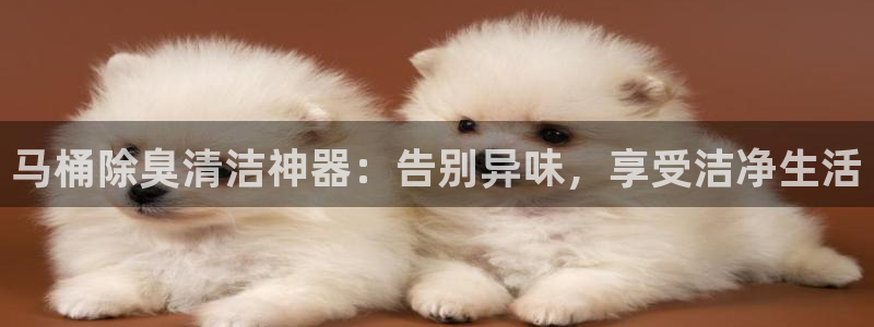 尊龙凯时怎么注册：马桶除臭清洁神器：告别异味，享受洁净生