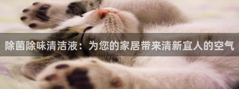 尊龙新版app首页：