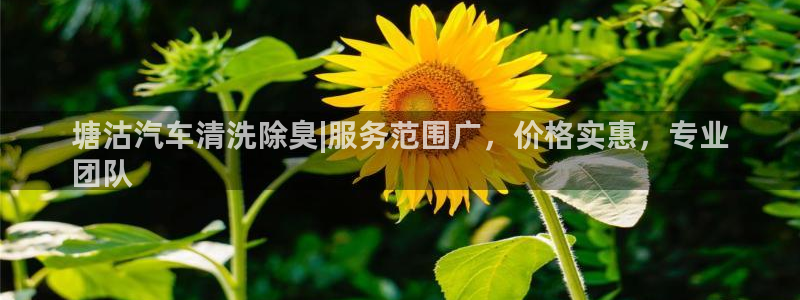尊龙新版人生就是博!