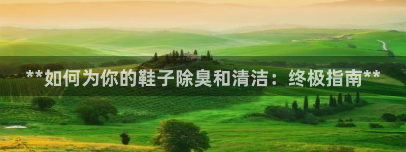 尊龙信息科技有限公司