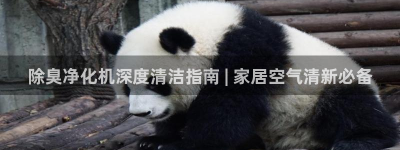 尊龙凯时的企业文化