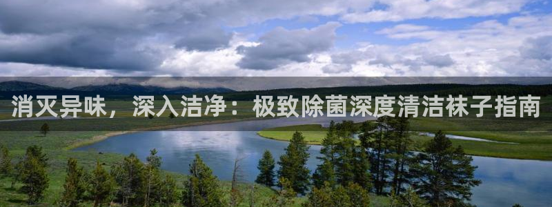 尊龙官网