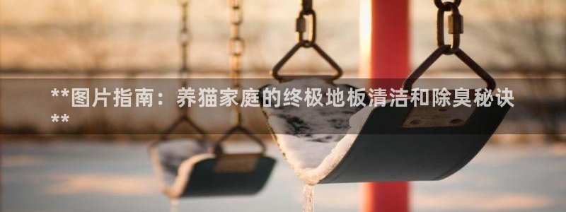 尊龙集团有限公司地址
