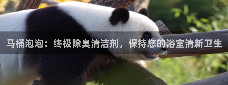 尊龙凯时游戏厅