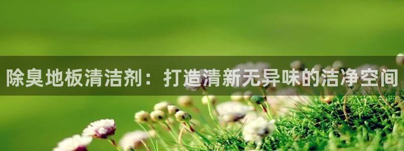 凯时平台怎么样