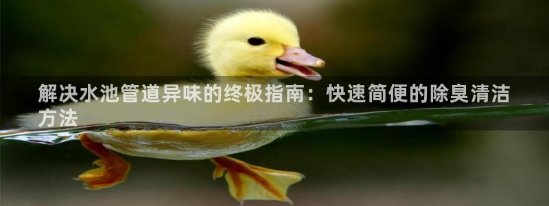 尊龙凯时ag旗舰厅：