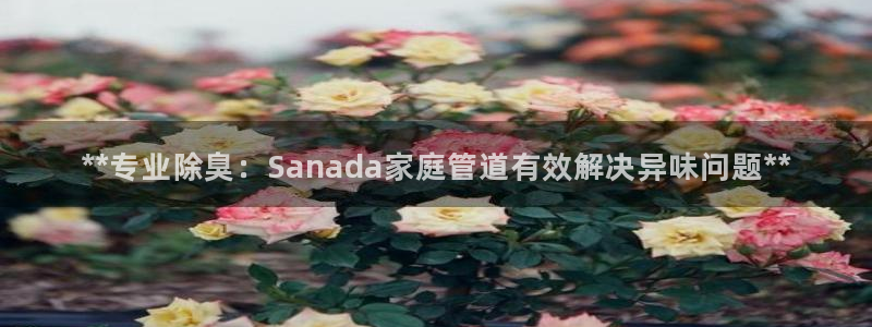 尊龙凯时泰安：**专业除臭：Sanada家庭管道有效解决