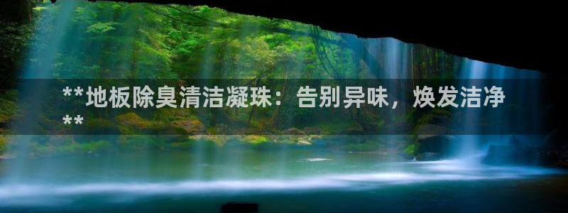 尊龙科技：**地板除
