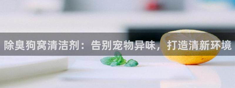 尊龙目前在哪