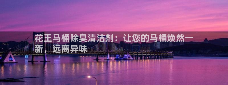 尊龙凯时注册：花王马桶除臭清洁剂：让您的马桶焕然一
新，