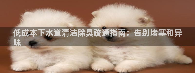 国际凯时ag优质运营