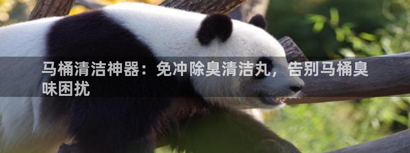 尊龙APP客户端平台：马桶清洁神器：免冲除臭清洁丸，告别