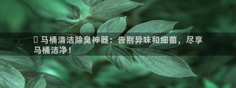 z6尊龙官网平台下载：✅ 马桶清洁除臭神器：告别异味和细