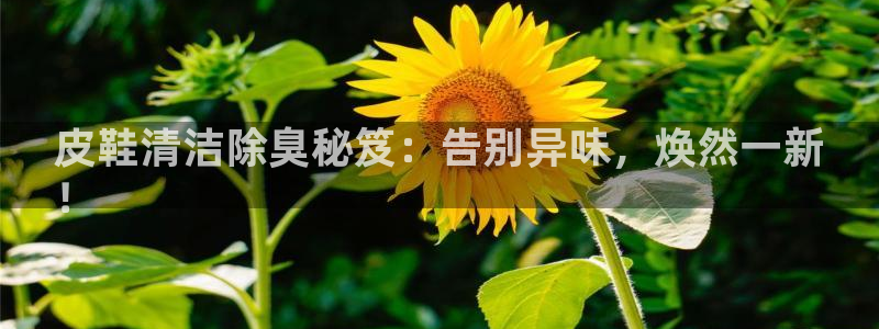最新凯时官网网址