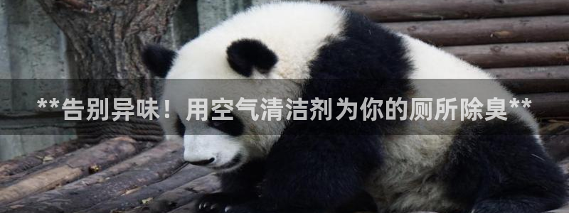 尊龙AG发财网：**