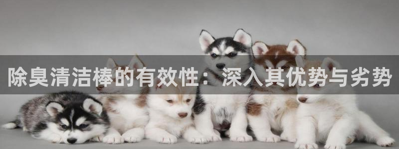 凯时在线平台官网