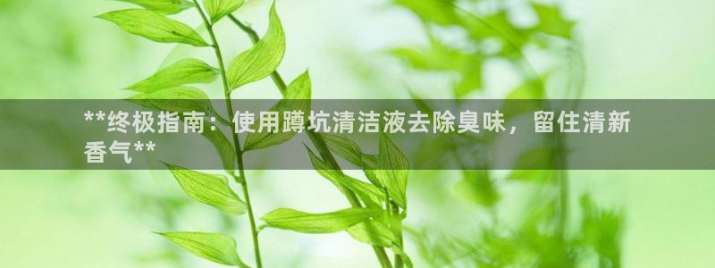 尊龙中国：**终极指南：使用蹲坑清洁液去除臭味，留住清新