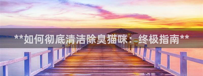 尊龙d88ag官方网站：**如何彻底清洁除臭猫咪：终极指