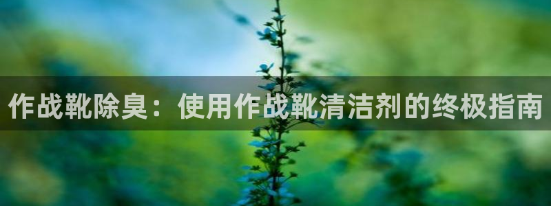 尊龙凯时网站不让提款：作战靴除臭：使用作战靴清洁剂的终极