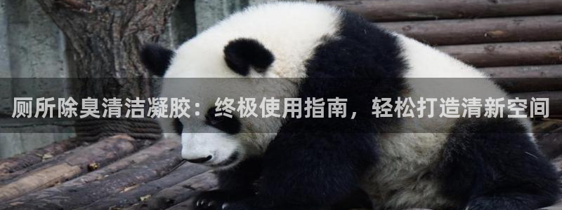 尊龙凯时国际