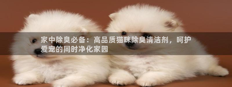 尊龙现金一下指导AG