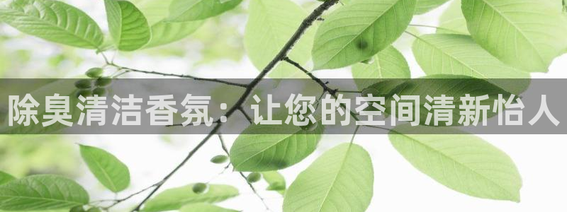 尊龙集团官网