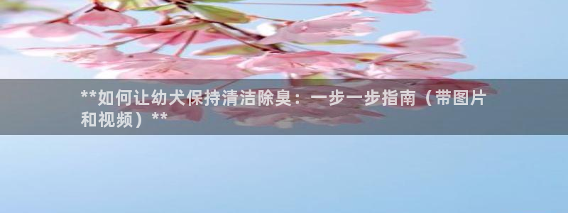 尊龙人生就是博送38