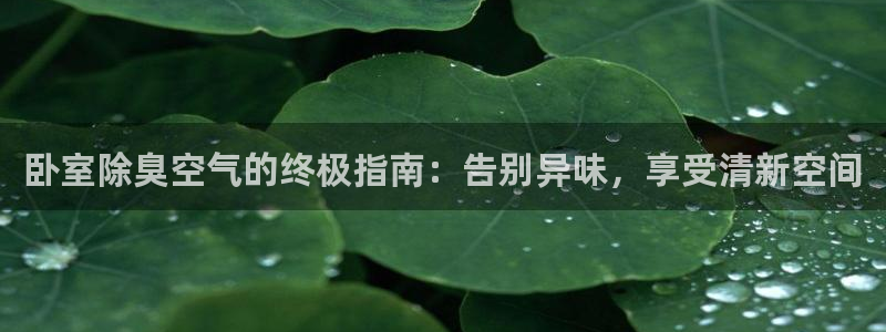 尊龙官网/首选kpm：卧室除臭空气的终极指南：告别异味，