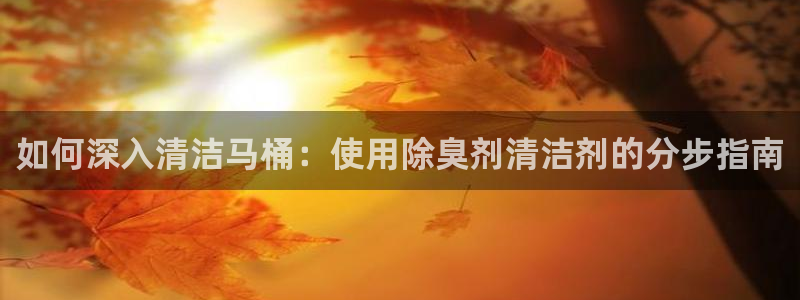尊龙人生就是博旧版现：如何深入清洁马桶：使用除臭剂清洁剂