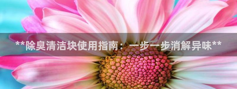 凯时kb88·中国官方网站：**除臭清洁块使用指南：一步