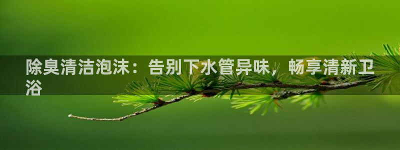 尊龙人生就是博一下下：除臭清洁泡沫：告别下水管异味，畅享