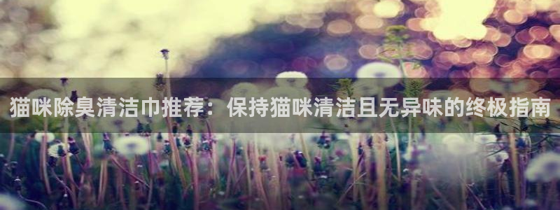 尊龙旗舰店：猫咪除臭